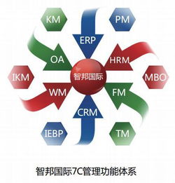 企業(yè)管理軟件100%成功率背后的故事 計算機系統(tǒng)服務的精密藝術