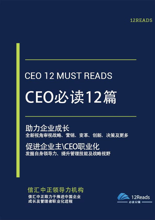 企業(yè)管理經(jīng)典書籍推薦 計算機系統(tǒng)服務行業(yè)的領導力與實踐指南