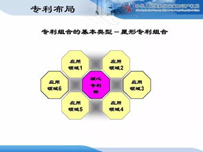 企業(yè)知識(shí)產(chǎn)權(quán)戰(zhàn)略規(guī)劃與管理培訓(xùn)精品課件分享 二 計(jì)算機(jī)系統(tǒng)服務(wù)